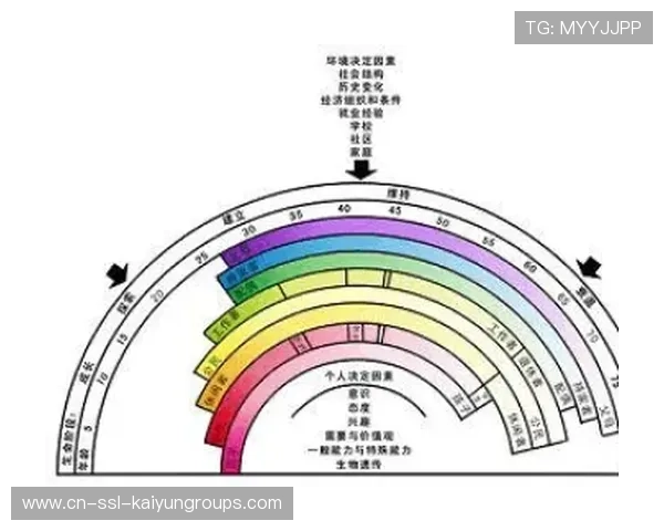 职业生涯进入新阶段
